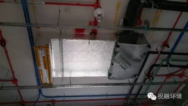 杭州玉榕庄绿巨人视频网站下载施工安装案例